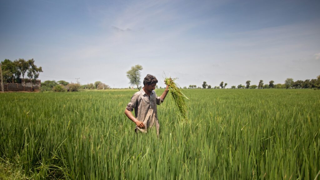 Launch of Punjab Chief Minister Kissan Cards Scheduled for August 10