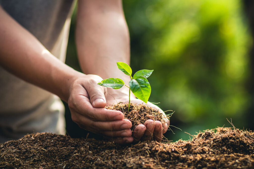 Punjab Forest Department Launches Historic Tree Planting Campaign for a "Green Pakistan" on Independence Day